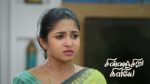 Chinnan Siru Kiliye 18th June 2026 Episode 237 Watch Online