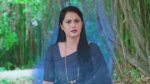 Naa Ninna Bidalaare (Zee Kannada) 9th June 2026 Episode 365