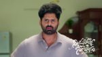 Nindu Noorella Saavasam 9th June 2026 Episode 908 Watch Online