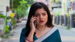 O Mor Dorodiya 29th June 2026 Bani’s Quest for Justice Episode 265