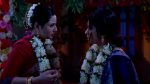 Professor Bidya Banerjee 14th June 2026 Bidya Foils Phagun’s Plan Episode 204