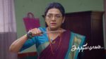 Sandhya Raagam (Tamil) 10th June 2026 Episode 896 Watch Online