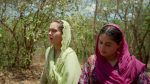 Seher Hone Ko Hai 3rd June 2026 Seher Leaves Niyazi Manzil Episode 132