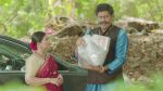 Tu Hi Re Majha Mitwa (Star Pravah) 25th June 2026 Vallari Steals the Jewellery Episode 529