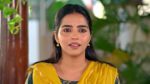 Vaagai Sooda Vaa (Zee Tamil) 10th June 2026 Episode 120
