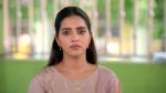 Vaagai Sooda Vaa (Zee Tamil) 11th June 2026 Episode 121