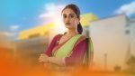 Professor Bidya Banerjee 31st July 2026 Rajdeb Assigns Duty to Rajrit Episode 250