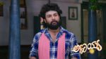 Annayya (Zee Kannada) 25th June 2026 Episode 494 Watch Online