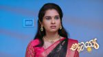 Annayya (Zee Kannada) 8th July 2026 Episode 503 Watch Online