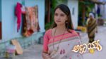 Annayya (Zee Kannada) 9th July 2026 Episode 504 Watch Online