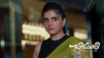 Chamanthi (Zee Telugu) 17th July 2026 Episode 484 Watch Online
