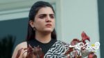 Chamanthi (Zee Telugu) 22nd July 2026 Episode 488 Watch Online