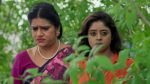 Paape Maa Jeevana Jyothi 15th July 2026 Jeevana’s Secret Plan Episode 1619