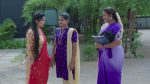 Paluke Bangaramayana 24th July 2026 Varudhini Gains Lakshmi’s Trust Episode 909