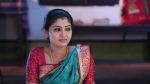Pandian Stores 25th November 2019 Episode 297 Watch Online