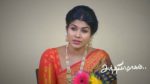 Sandhya Raagam (Tamil) 12th July 2026 Episode 924 Watch Online