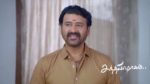 Sandhya Raagam (Tamil) 14th July 2026 Episode 929 Watch Online