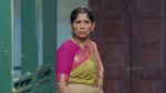 Yed Lagla Premach (Star Pravah) 11th July 2026 Shashikala Suspects Raaya Episode 725