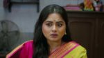 Annapurnar Lokkhira 3rd July 2026 Episode 33 Watch Online