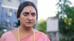 Annapurnar Lokkhira 17th July 2026 Episode 47 Watch Online